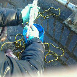 またまた行ってしまいました